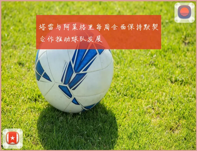 塔雷与阿莱格里每周会面保持默契合作推动球队发展